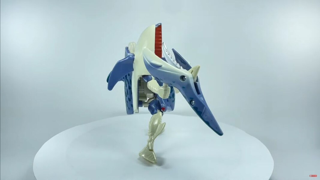 Transformers Beast Wars Vintage Re Issue Cybershark In Hand Image  (14 of 15)